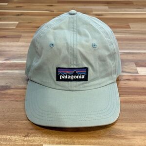 Patagonia Classic Gray Baseball Cap